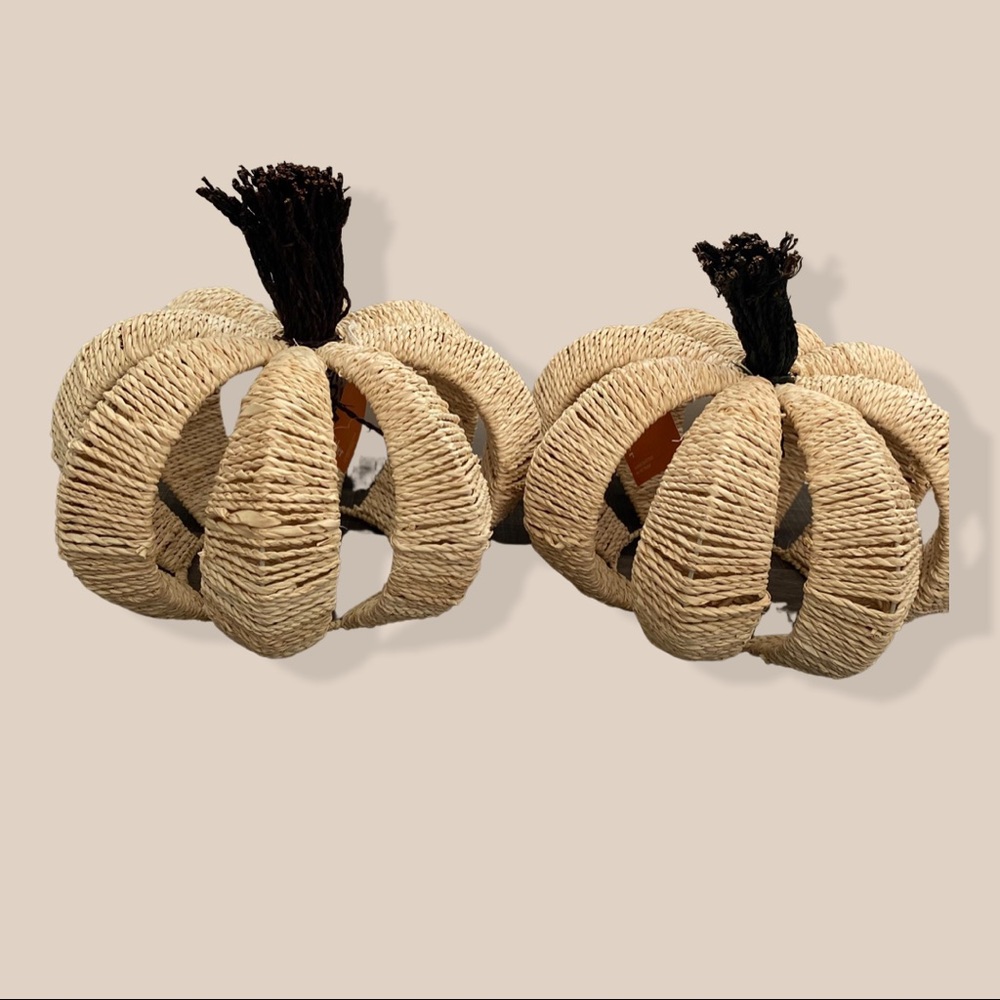Handcrafted Pumpkin